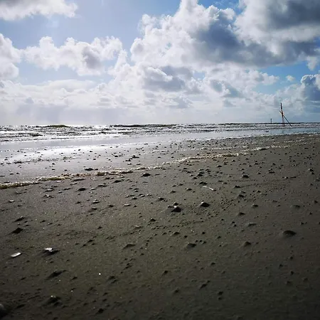 6 Person In 度假居 布拉万德