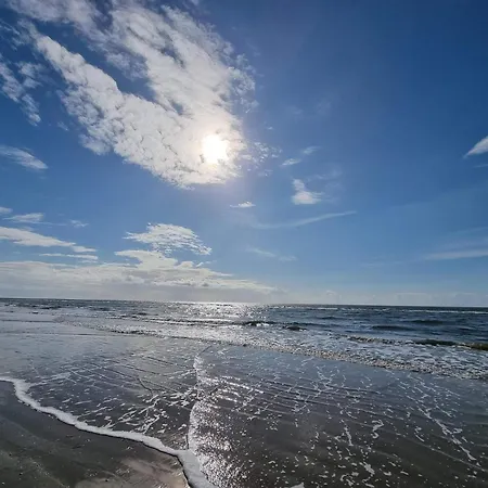 6 Person In * 布拉万德